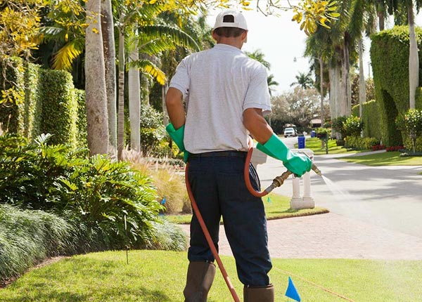 About Hastings FL Pest Control Pros
